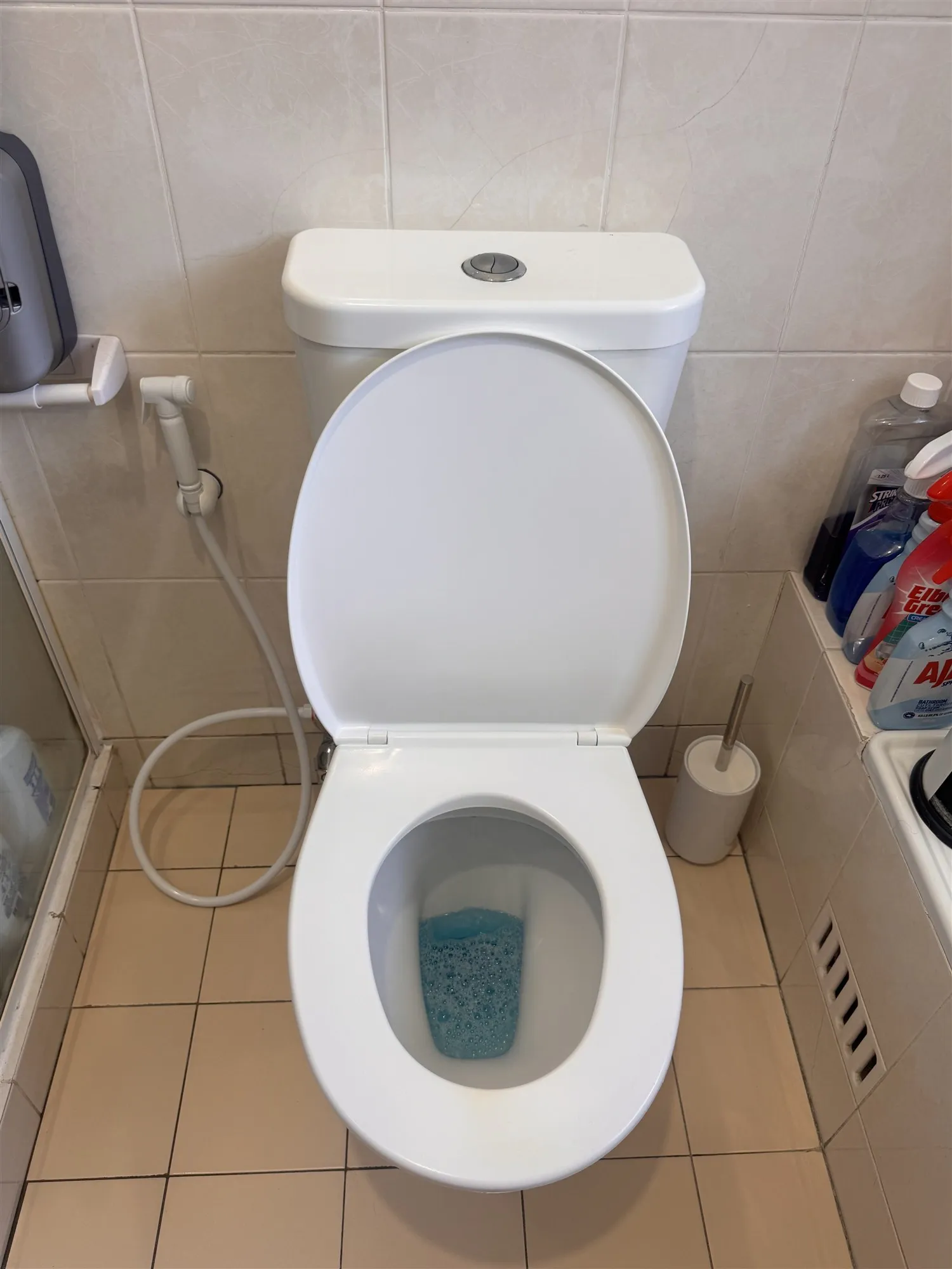 New white toilet seat fitted, with the lid up and the bidet sprayer beside the toilet