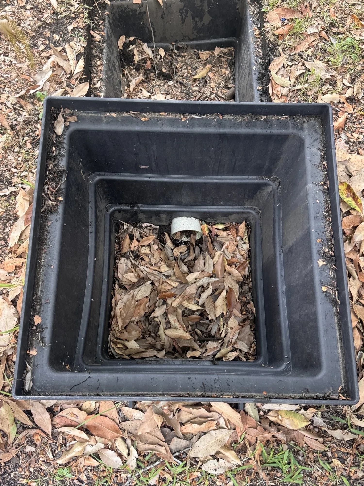 Stormwater pit filled with leaves and debris before clearing