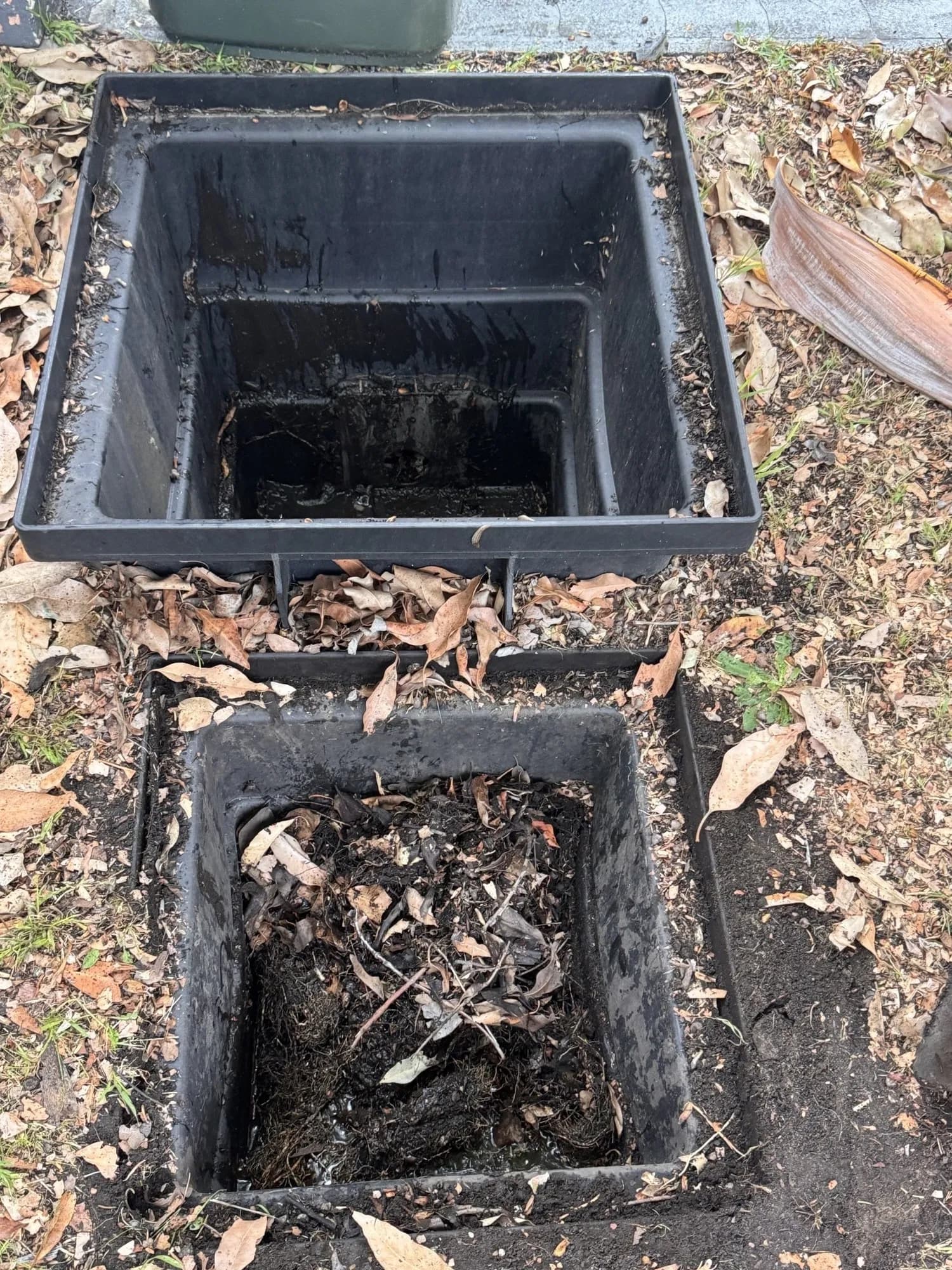 Stormwater pit packed with mud, leaves and roots