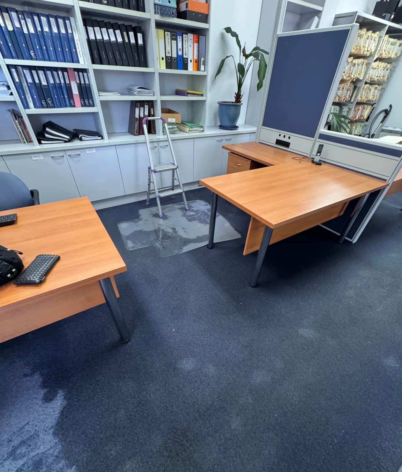 Soaked carpet across a Sydney office floor after a concealed water leak