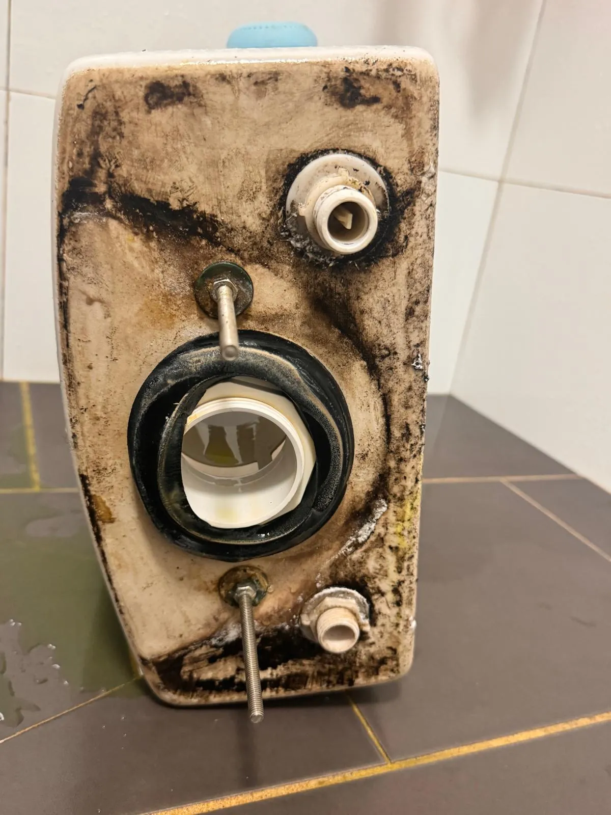 Toilet cistern lifted off and laid on its side, showing the stained underside, outlet and perished seal